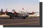 Posed with B-24 All American